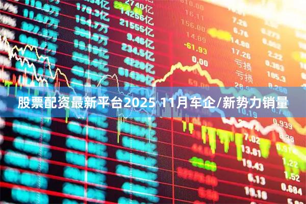 股票配资最新平台2025 11月车企/新势力销量
