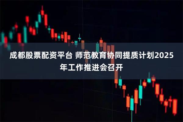 成都股票配资平台 师范教育协同提质计划2025年工作推进会召开
